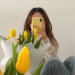 慧